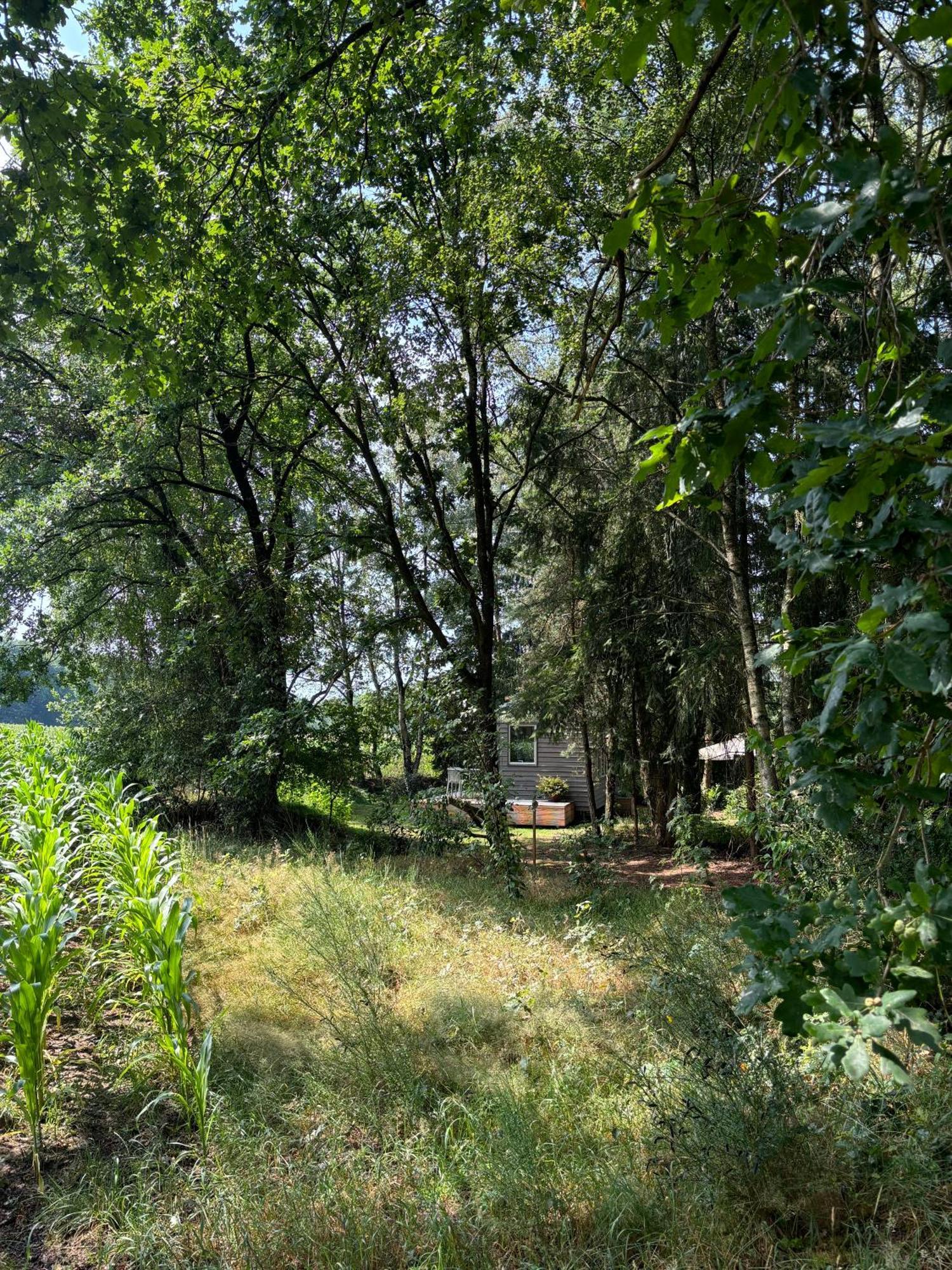 Tiny House Mit Garten In Der Lueneburger Heide Soltau Exteriér fotografie